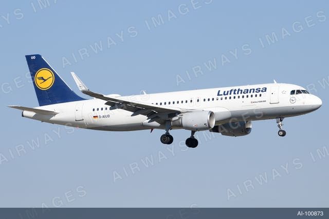 D-AIUO