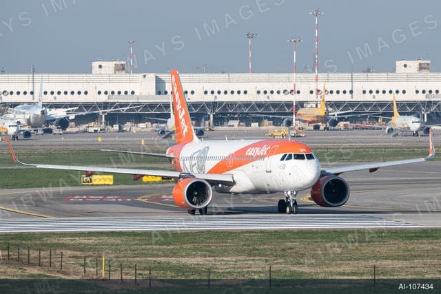 OE-LSM