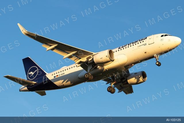 D-AIZW