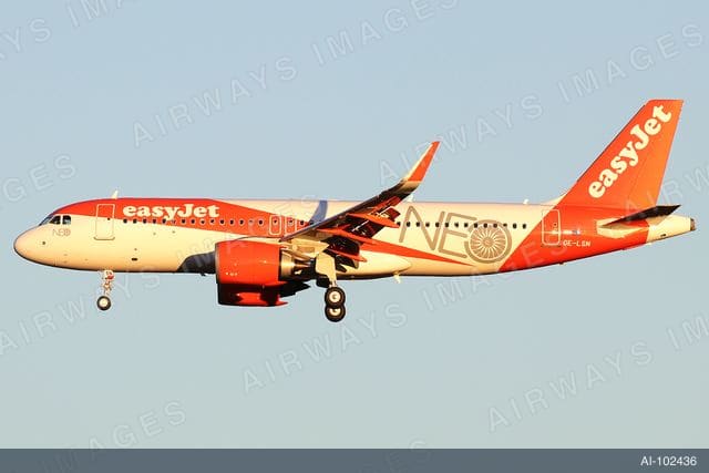 OE-LSN