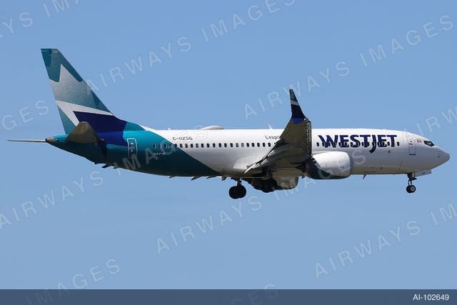 C-GZSG