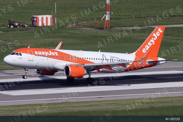 OE-LSM