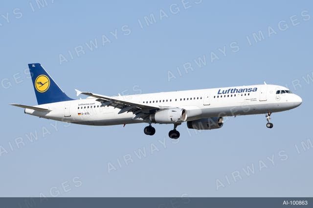 D-AISL