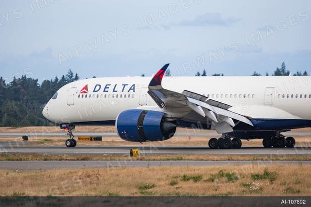 N517DZ
