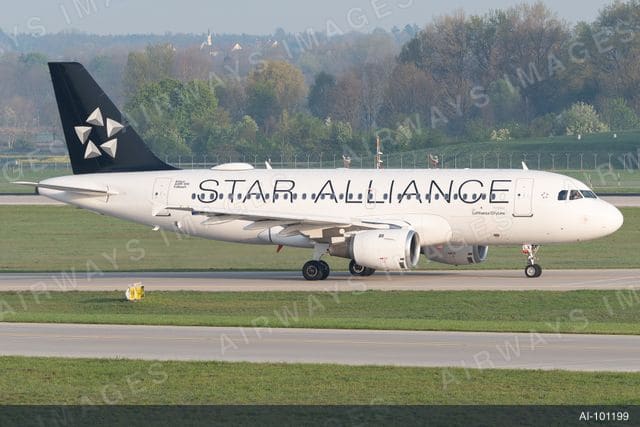 D-AILX