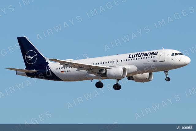 D-AIZC
