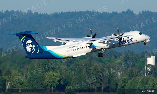 N439QX