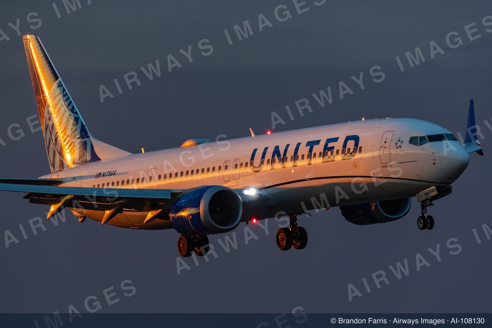 N17564