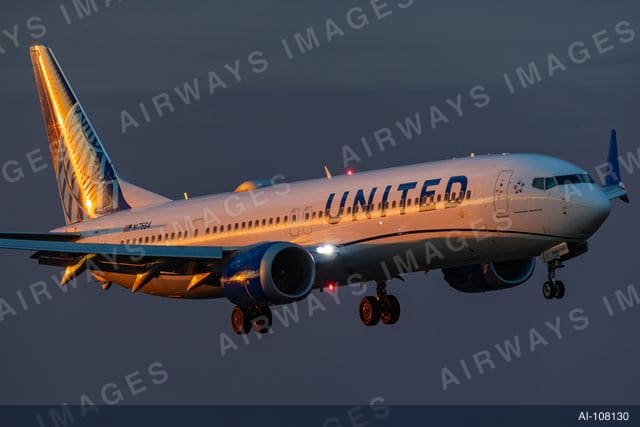 N17564