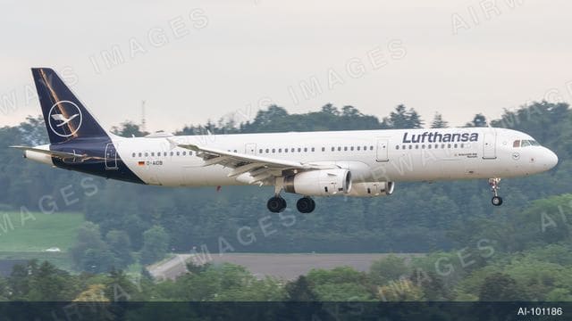 D-AIDB