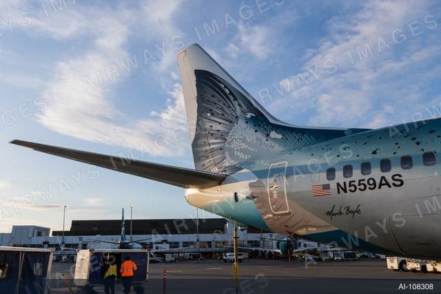 N559AS