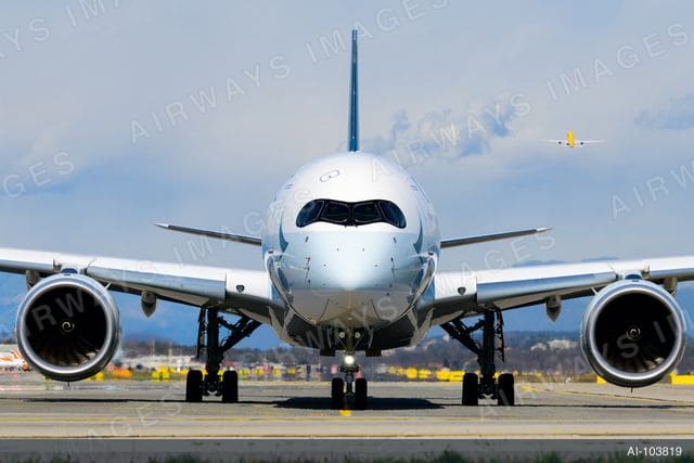 B-LXP