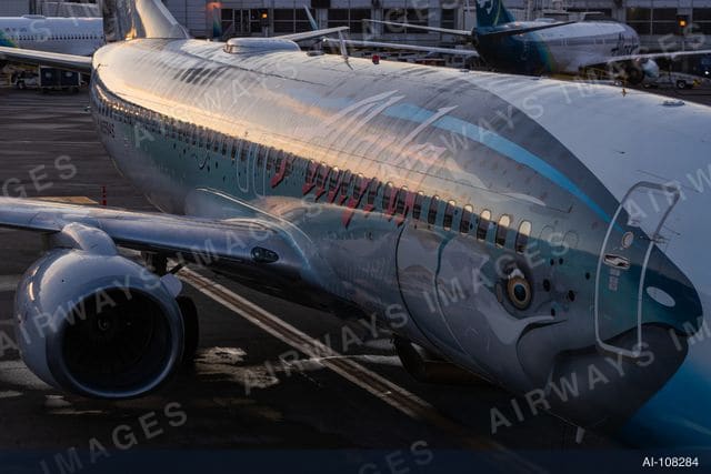 N559AS