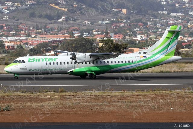 EC-MNN