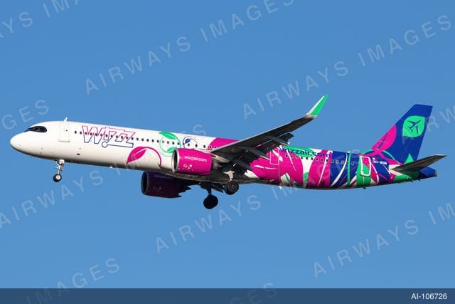 9H-WNM