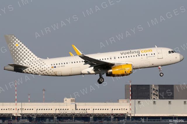 EC-MXG
