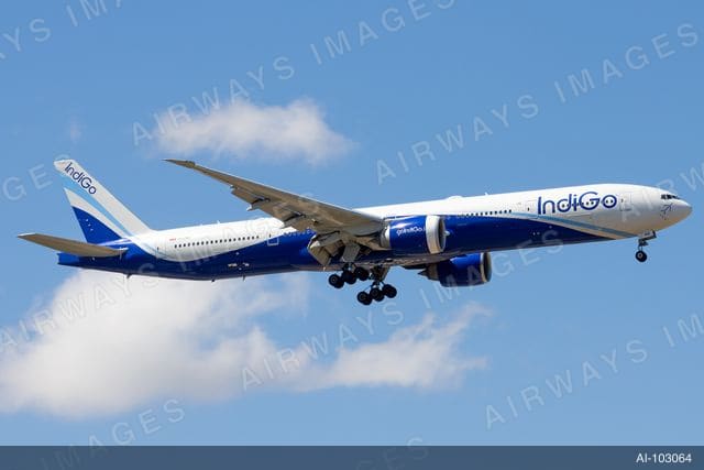 TC-LKD