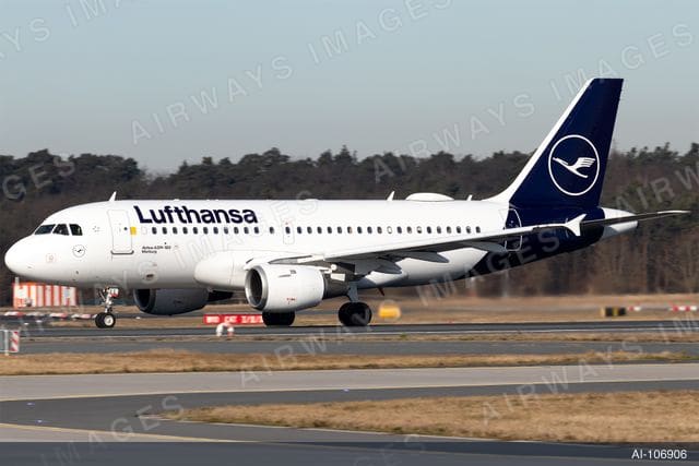 D-AILL