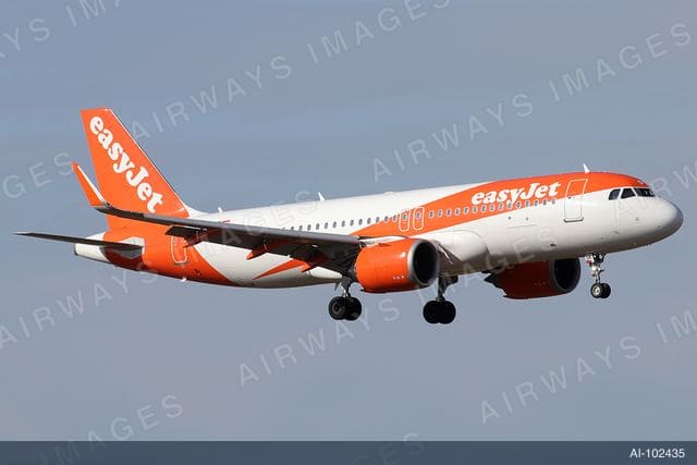 OE-LSK