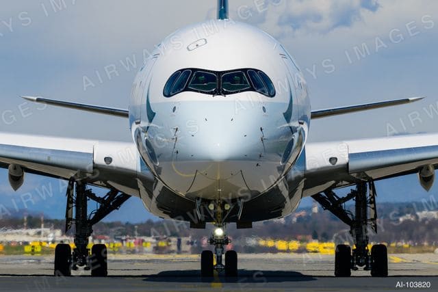 B-LXP