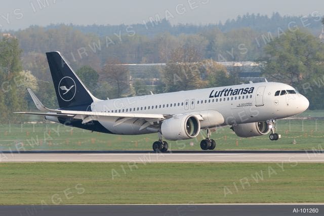 D-AINK