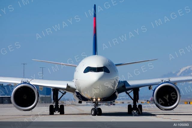 N401DZ