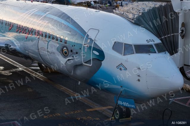 N559AS