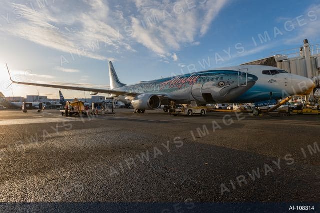 N559AS