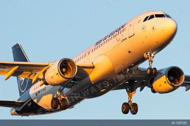 D-AIUC