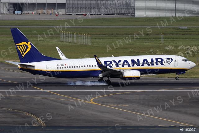 9H-QDL