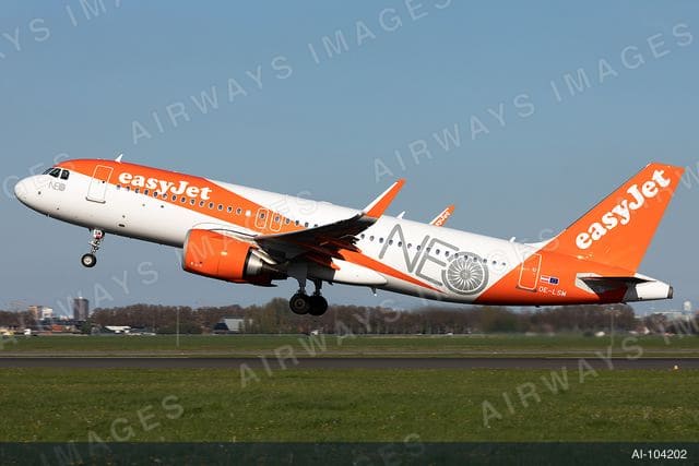 OE-LSM