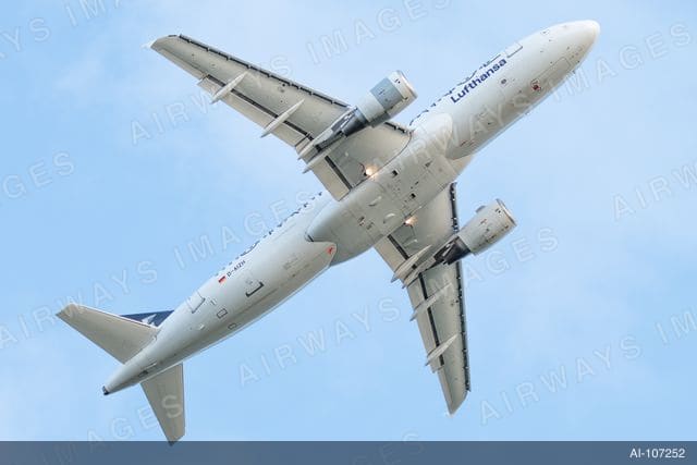 D-AIZH