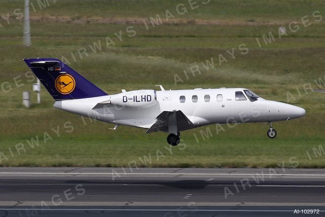 D-ILHD