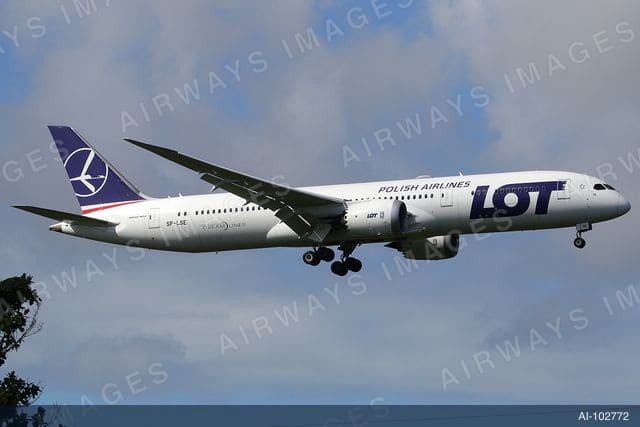 SP-LSE