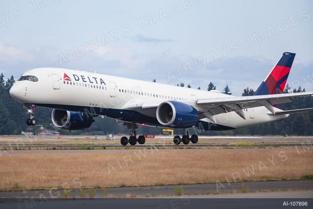 N517DZ