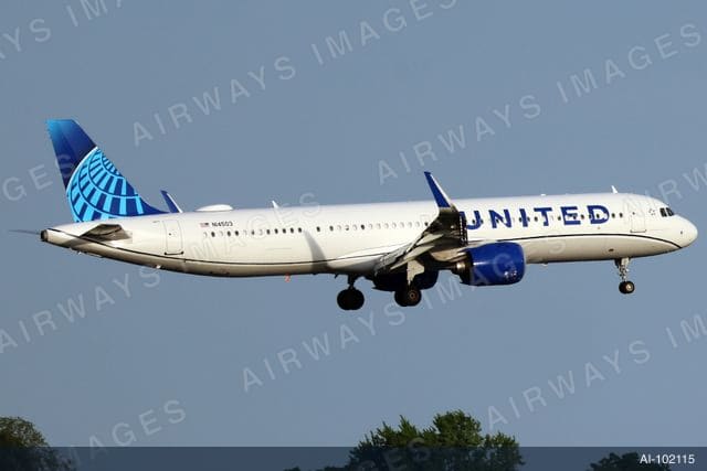 N14503