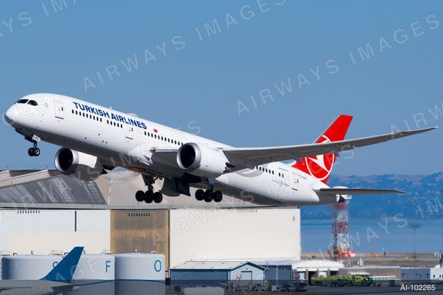 TC-LLB