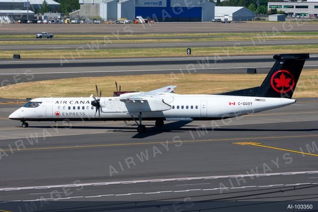 C-GGOY