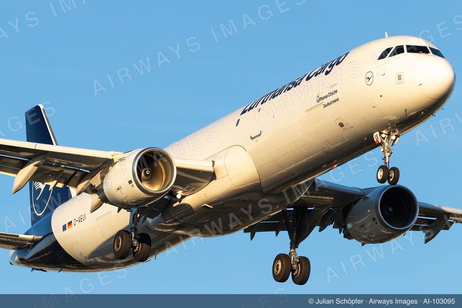 D-AEUI