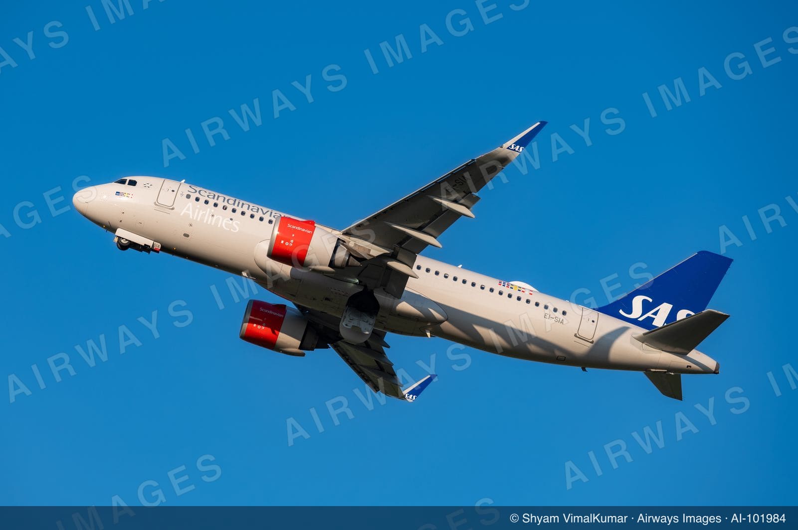 EI-SIA