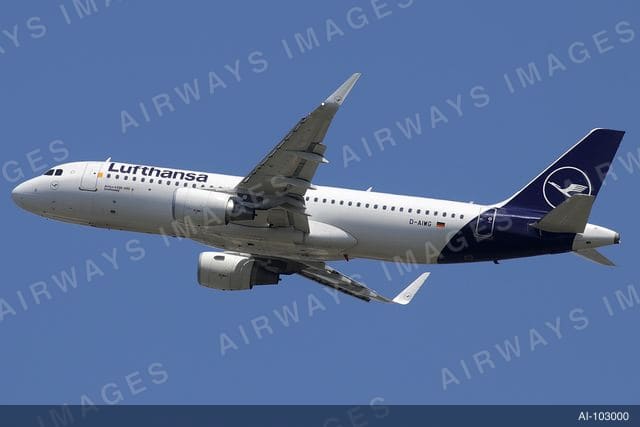 D-AIWG