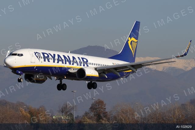 EI-DYR