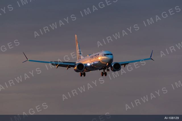N17564