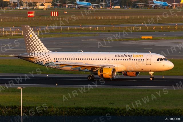 EC-LLM