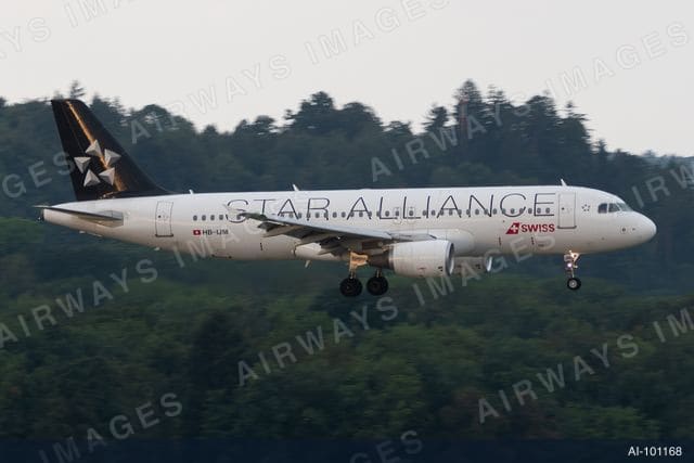 HB-IJM