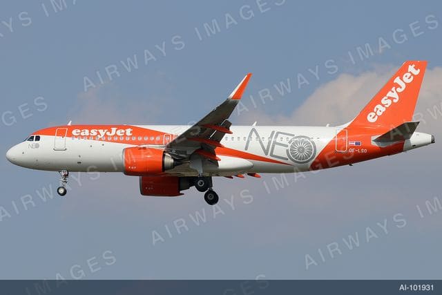 OE-LSO