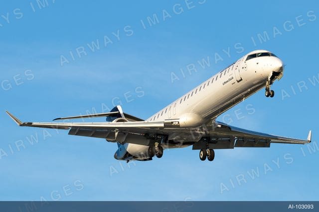 D-ACNF