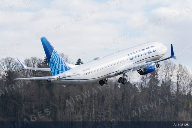 N17529