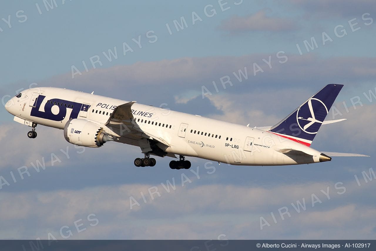 SP-LRG