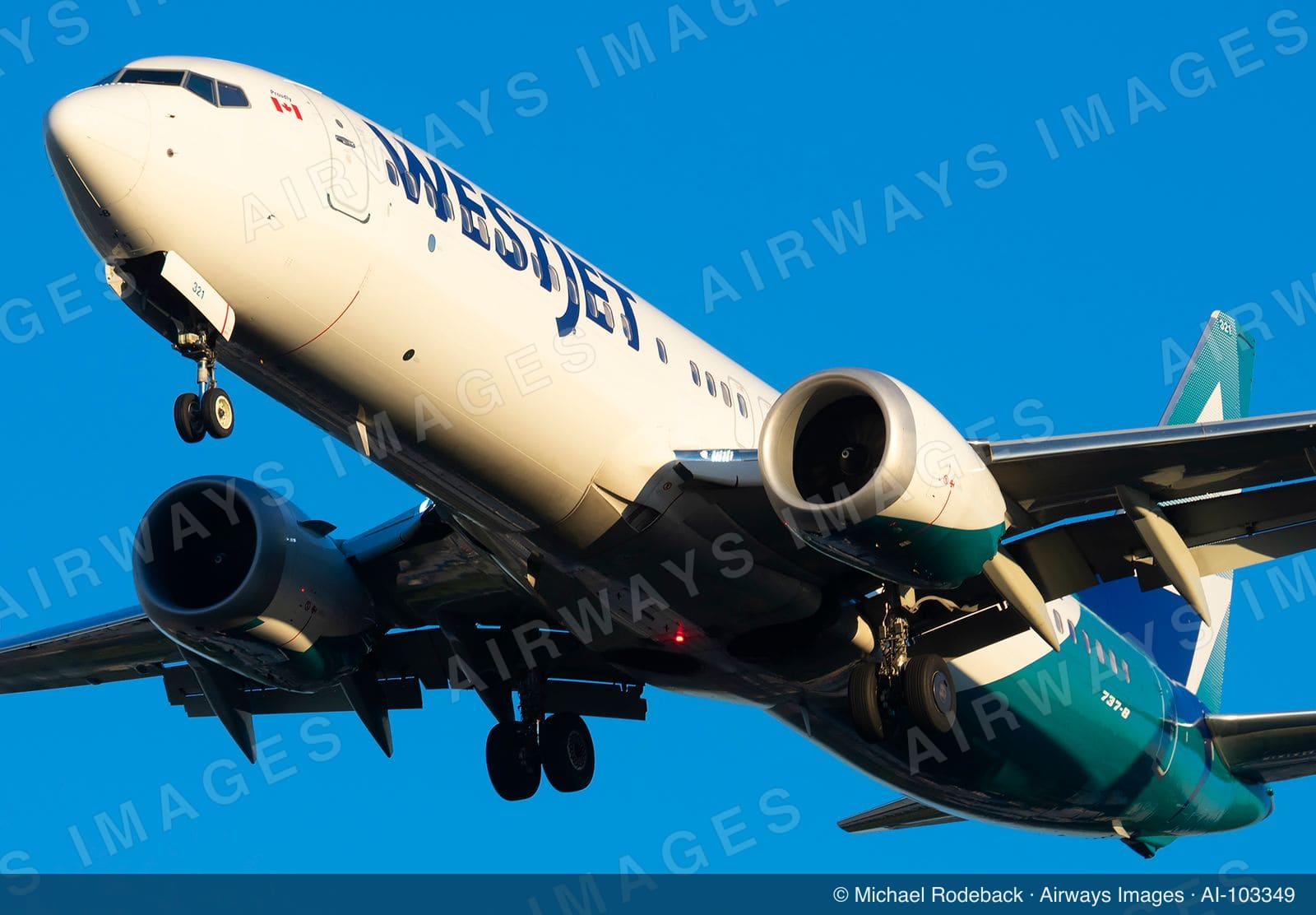 C-FZWS
